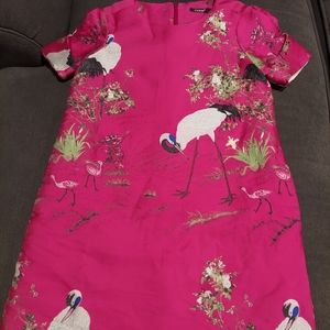 Pink dress NWOT